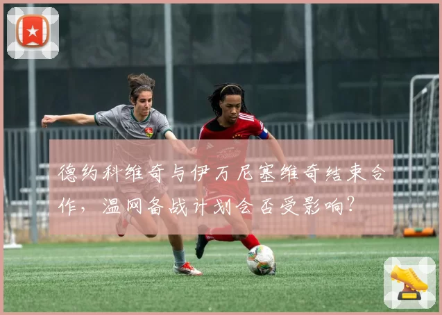 德约科维奇与伊万尼塞维奇结束合作,温网备战计划会否受影响?