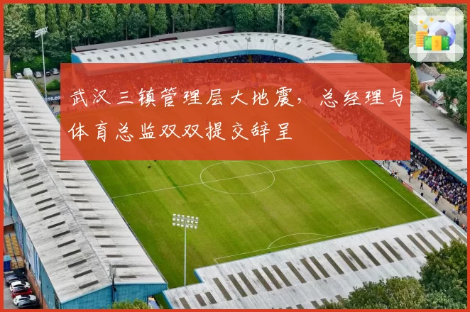 武汉三镇管理层大地震,总经理与体育总监双双提交辞呈