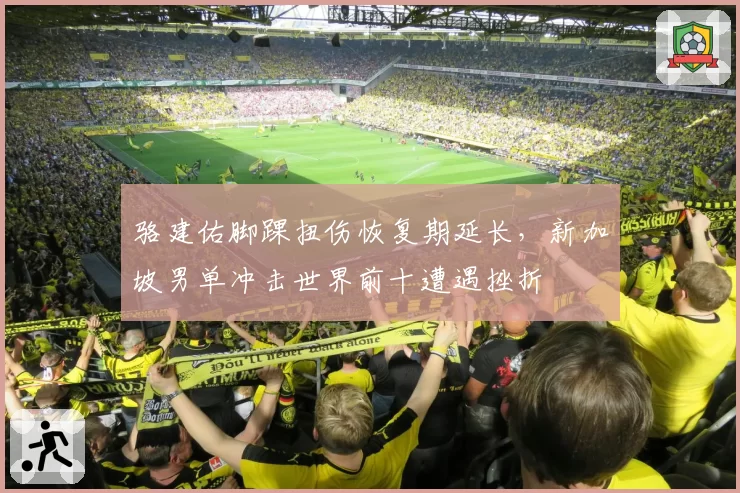 骆建佑脚踝扭伤恢复期延长,新加坡男单冲击世界前十遭遇挫折